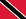 Trinidad and Tobago Flag